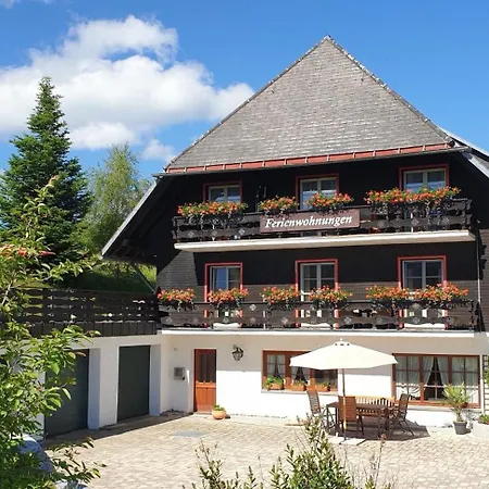 Hubertus - 3, Feldberg, Titisee, Schluchsee 公寓 Rotwasser