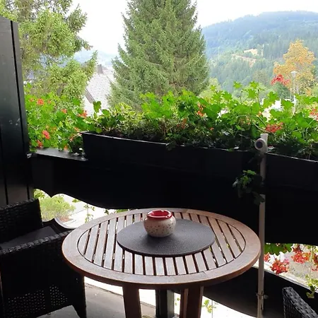 Hubertus - 3, Feldberg, Titisee, Schluchsee Διαμέρισμα Rotwasser